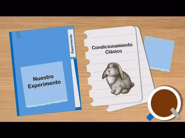¿Cómo hacer un ejemplo de condicionamiento operante?