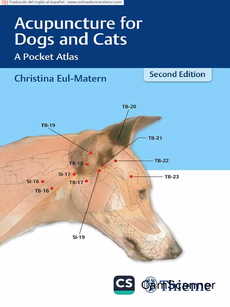 ¿Es necesario ser veterinario para realizar acupuntura animal?