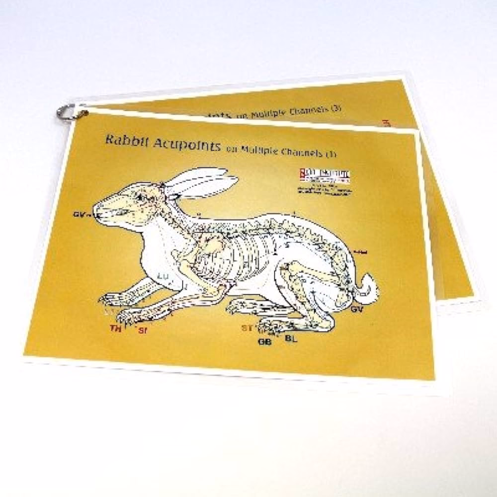 ¿Funciona la acupuntura en los conejos?