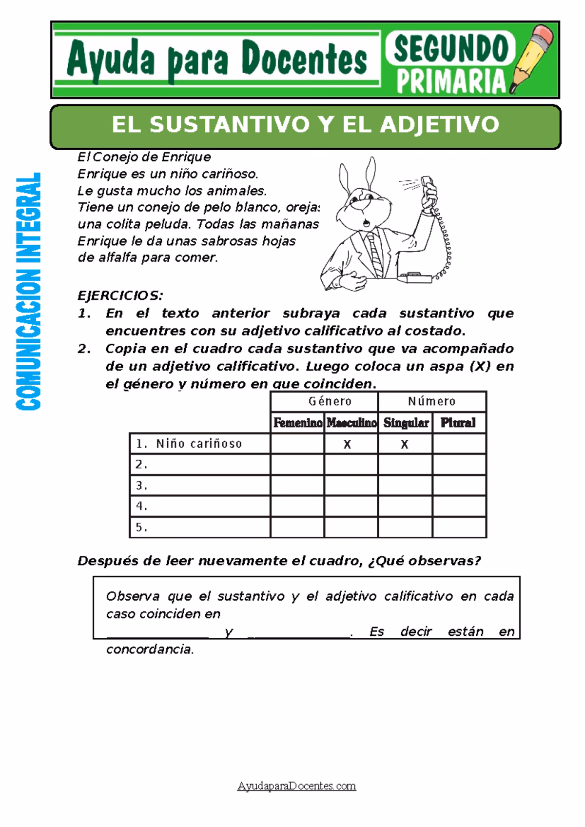 ¿Cuál es el adjetivo latino para conejo?