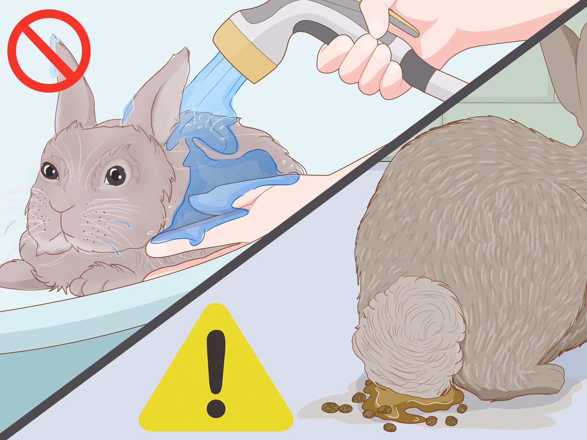 ¿Pueden los conejos beber agua con vinagre?