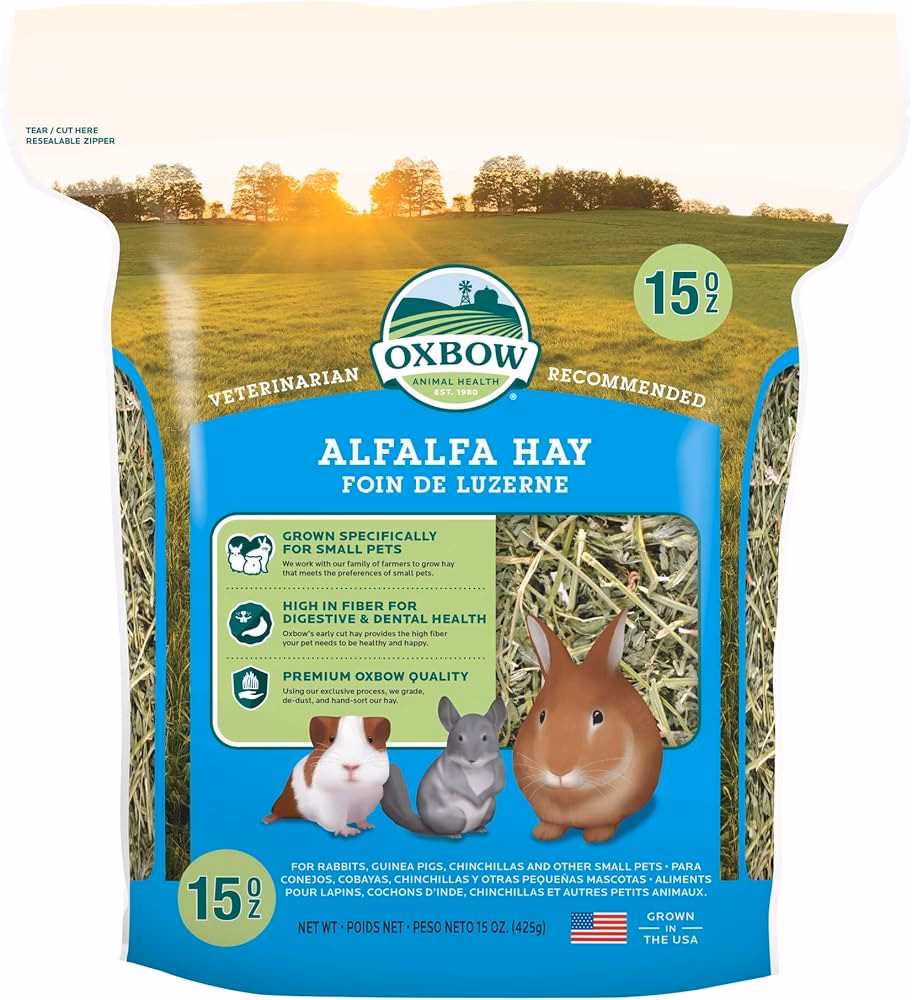 ¿Qué pasa si le doy alfalfa a mi conejo?