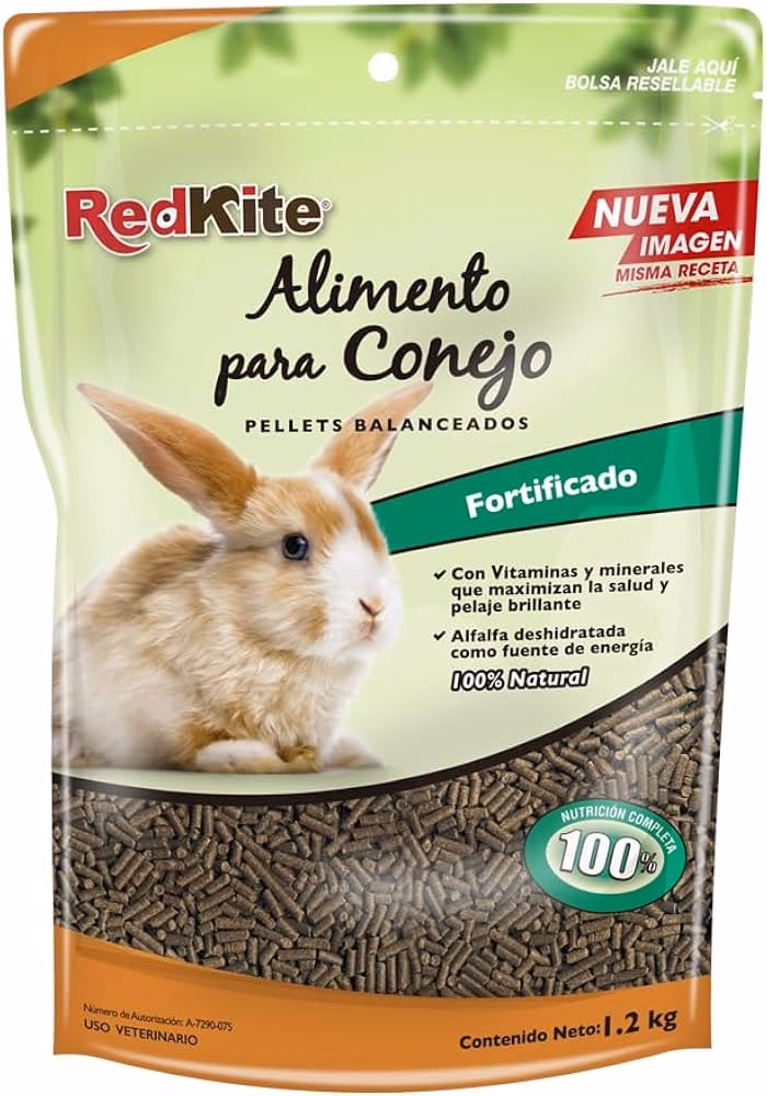 ¿Cuántas veces debe comer un conejo al día?
