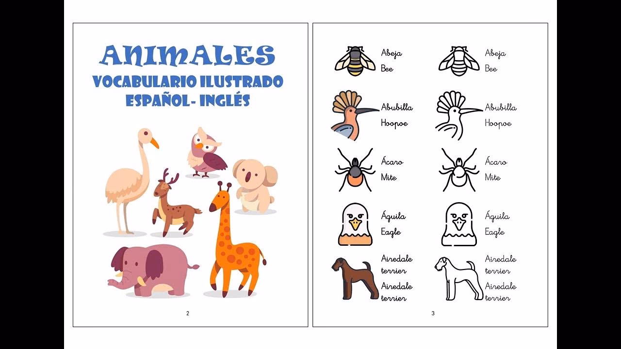 ¿Cuáles son 10 nombres de animales salvajes en inglés?