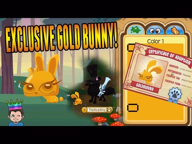 Where is the pet stop in Animal Jam?