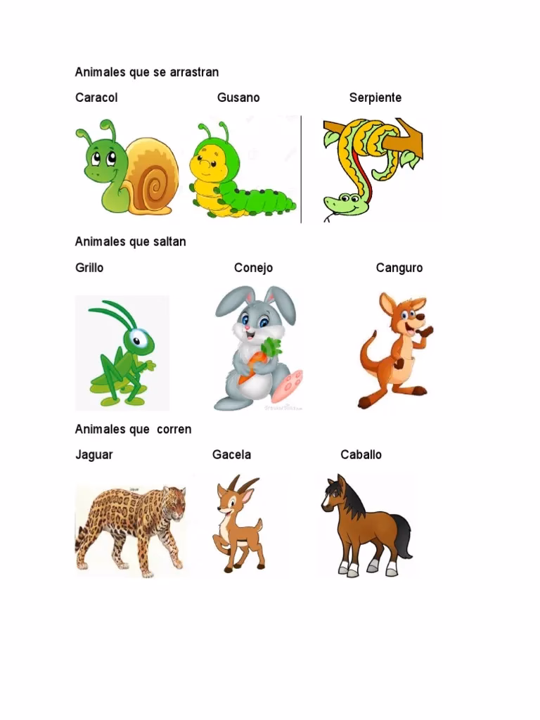 ¿Cómo se llaman los animales en inglés?
