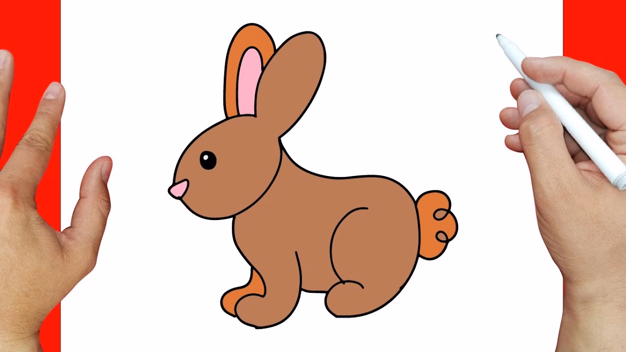 ¿Cuáles son los 3 grupos de herbívoros?