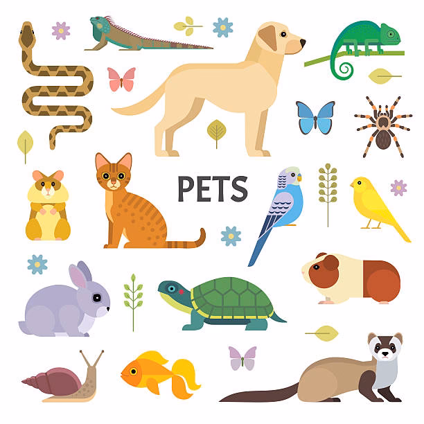 ¿Cuántos perros y gatos existen?