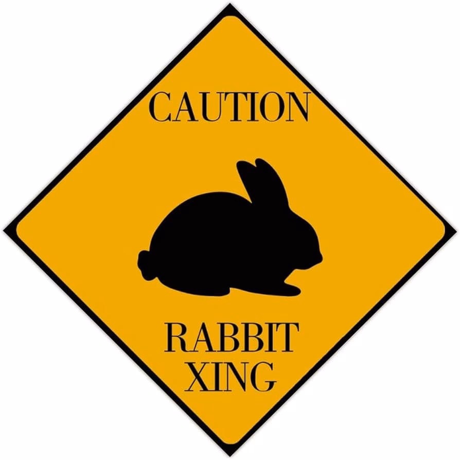 ¿Qué significa conejo silvestre?