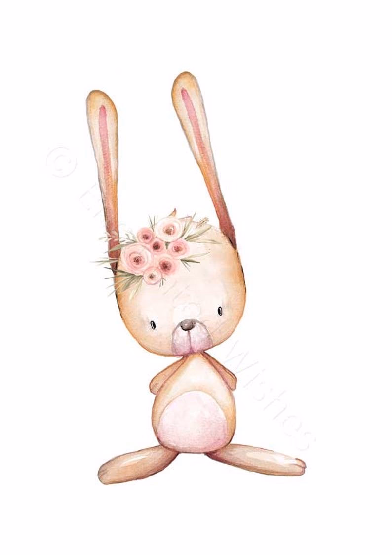 ¿Qué conejos viven en el bosque?