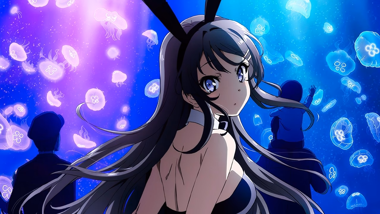 ¿Cuántas temporadas tiene el anime de la conejita?