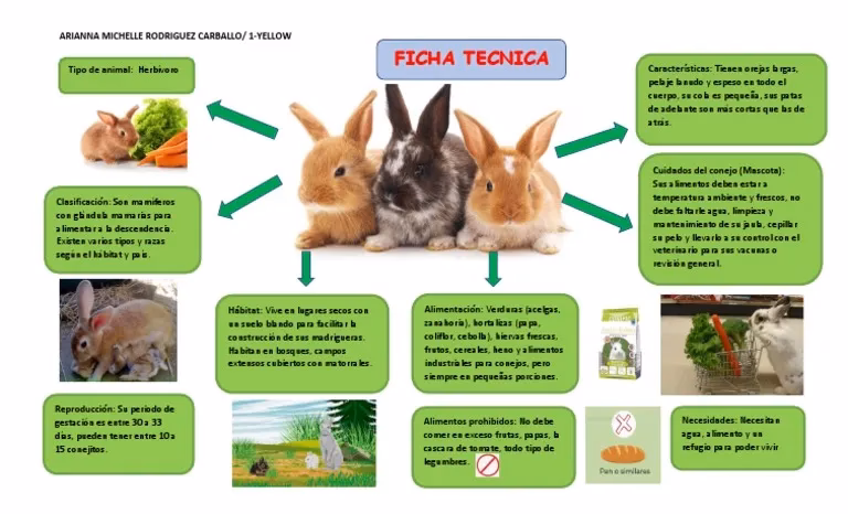 ¿Cuál es el alimento más fácil de cultivar para los conejos?