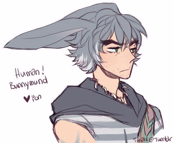 What is the anime with the brown rabbit?