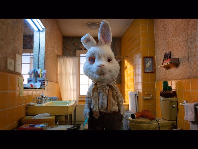 ¿Los conejos interactúan con los humanos?