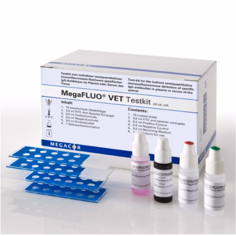 What is FITC secondary antibody?