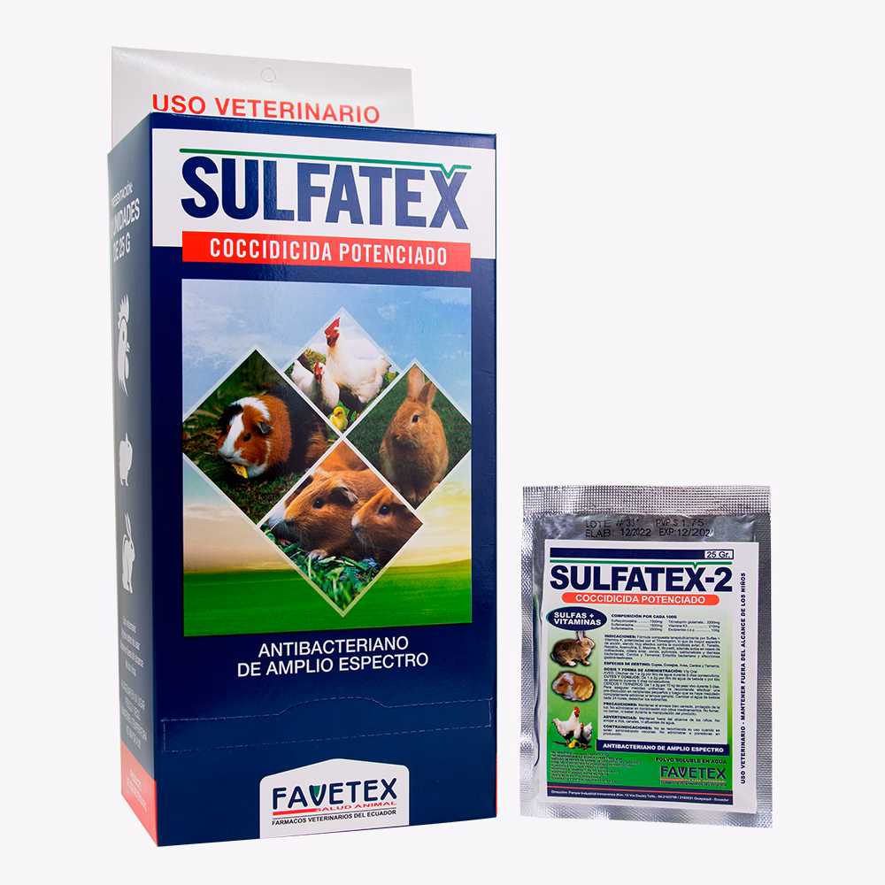 ¿Cómo tratar una infección en conejos?