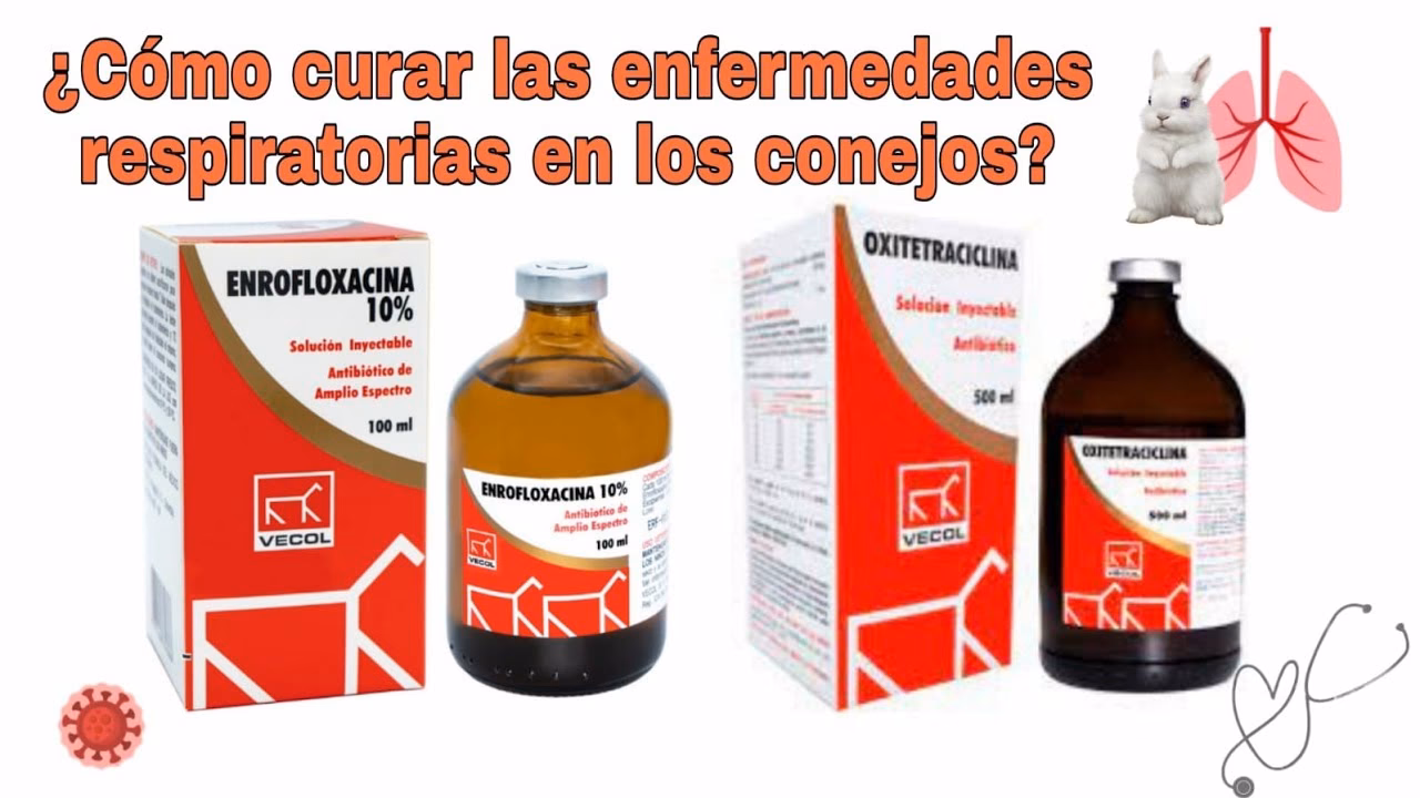 ¿Cuál es la dosis de trimetoprim sulfa para conejos?