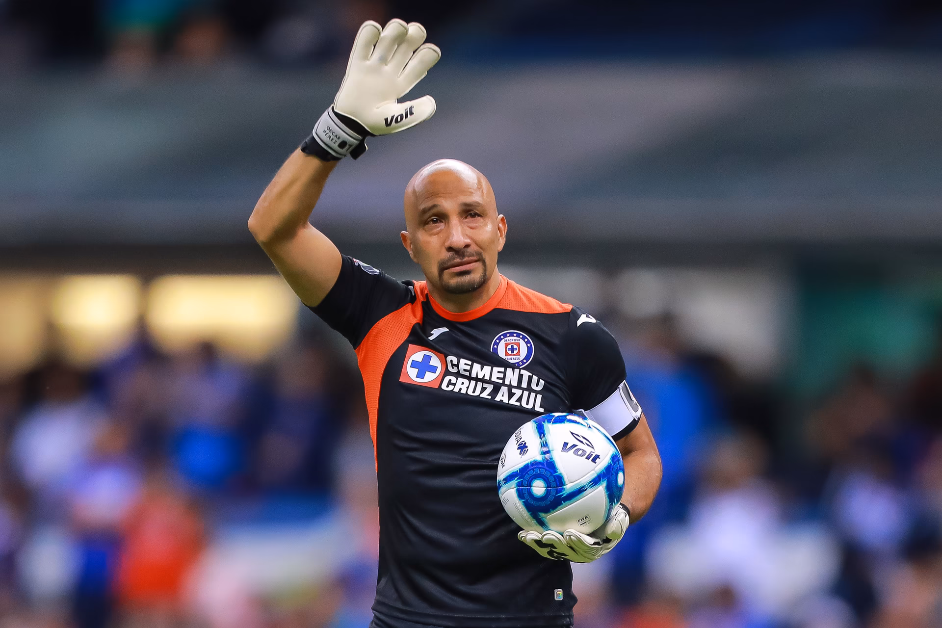 ¿Qué pasó con el conejo perez?