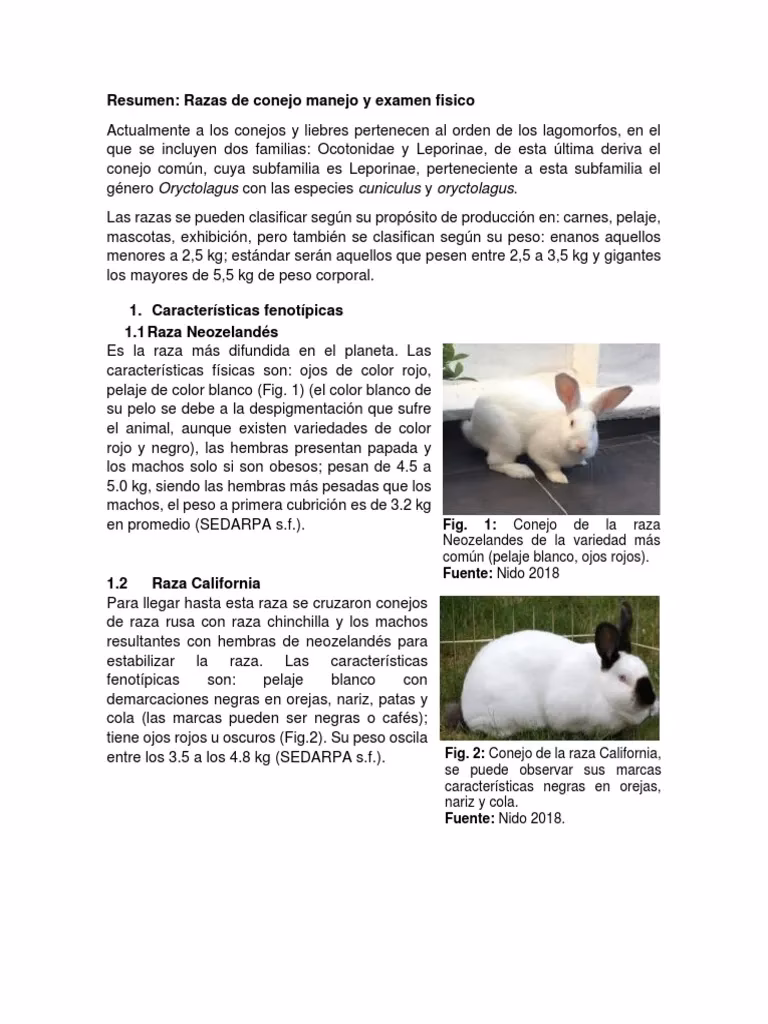 ¿Qué es un conjunto por extensión y por comprensión?