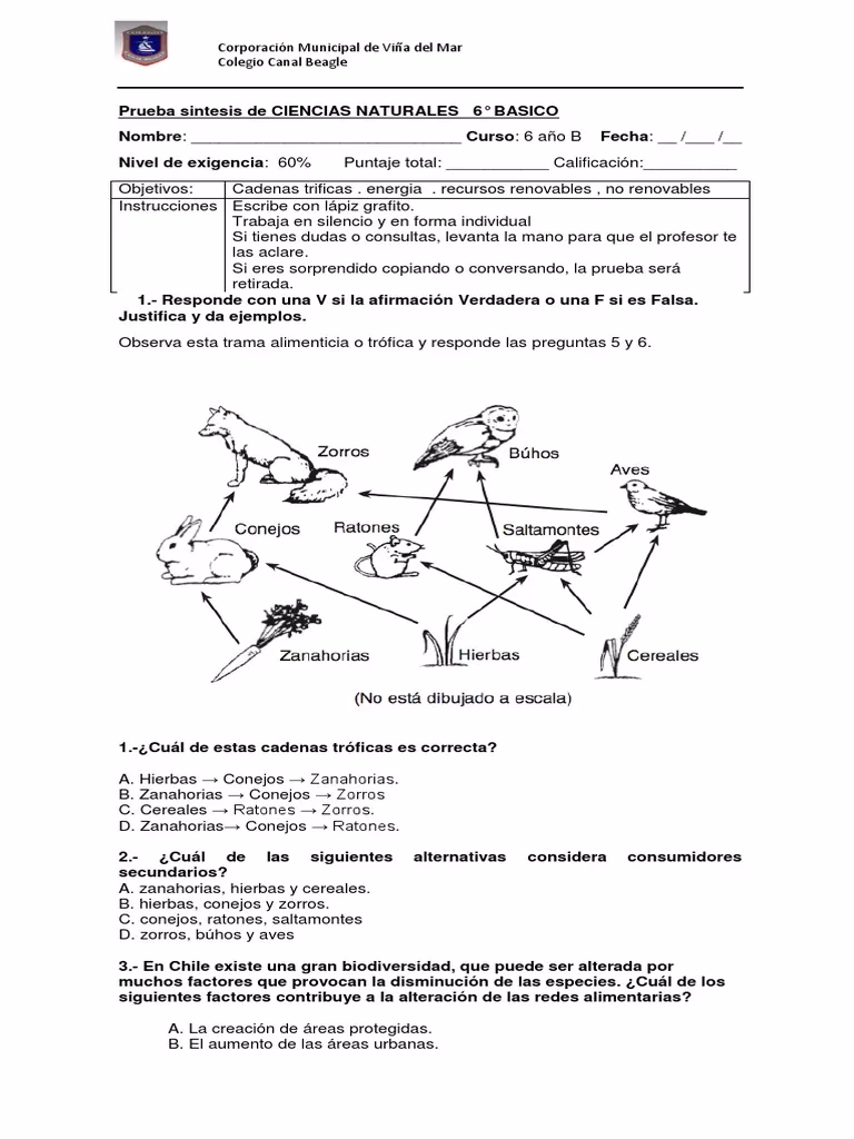 ¿Qué es el saltamontes en la cadena alimenticia?