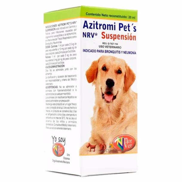 ¿Puedo darle azitromicina a mi conejo?