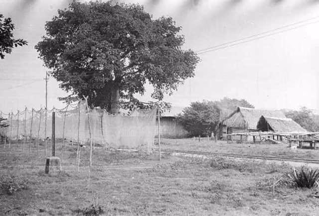 ¿Cuál es el plato tipico de La Dorada Caldas?