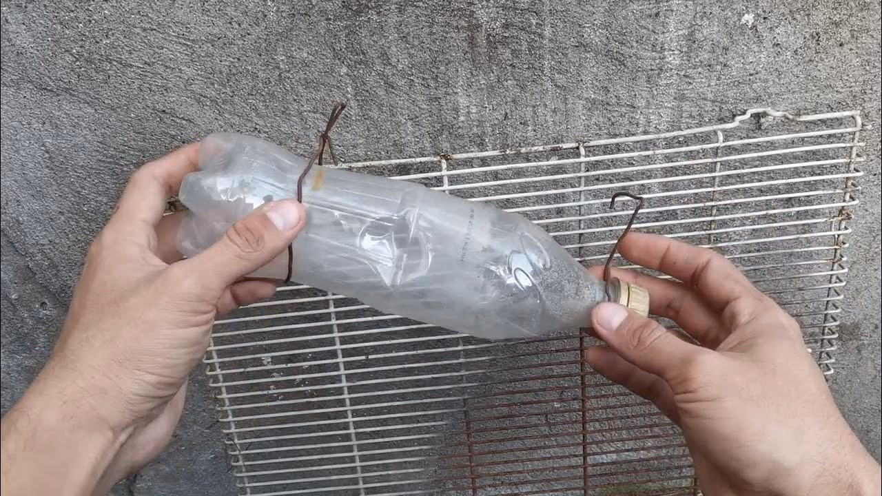 ¿Cómo darle agua a un conejo sin bebedero?