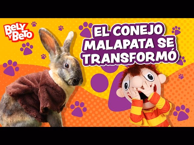 ¿Qué integrante de Bely y Beto murió?