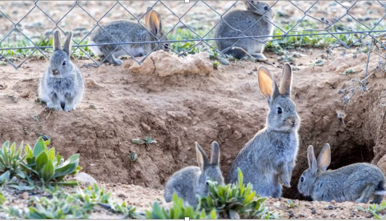 ¿Qué es Vensim y para qué se utiliza?