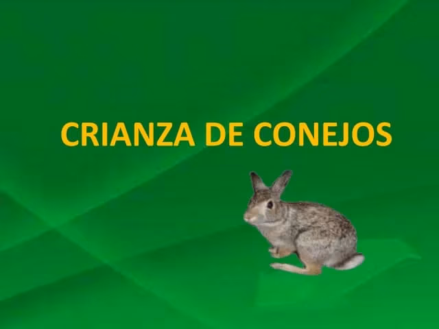 ¿Cómo afecta la cunicultura al medio ambiente?