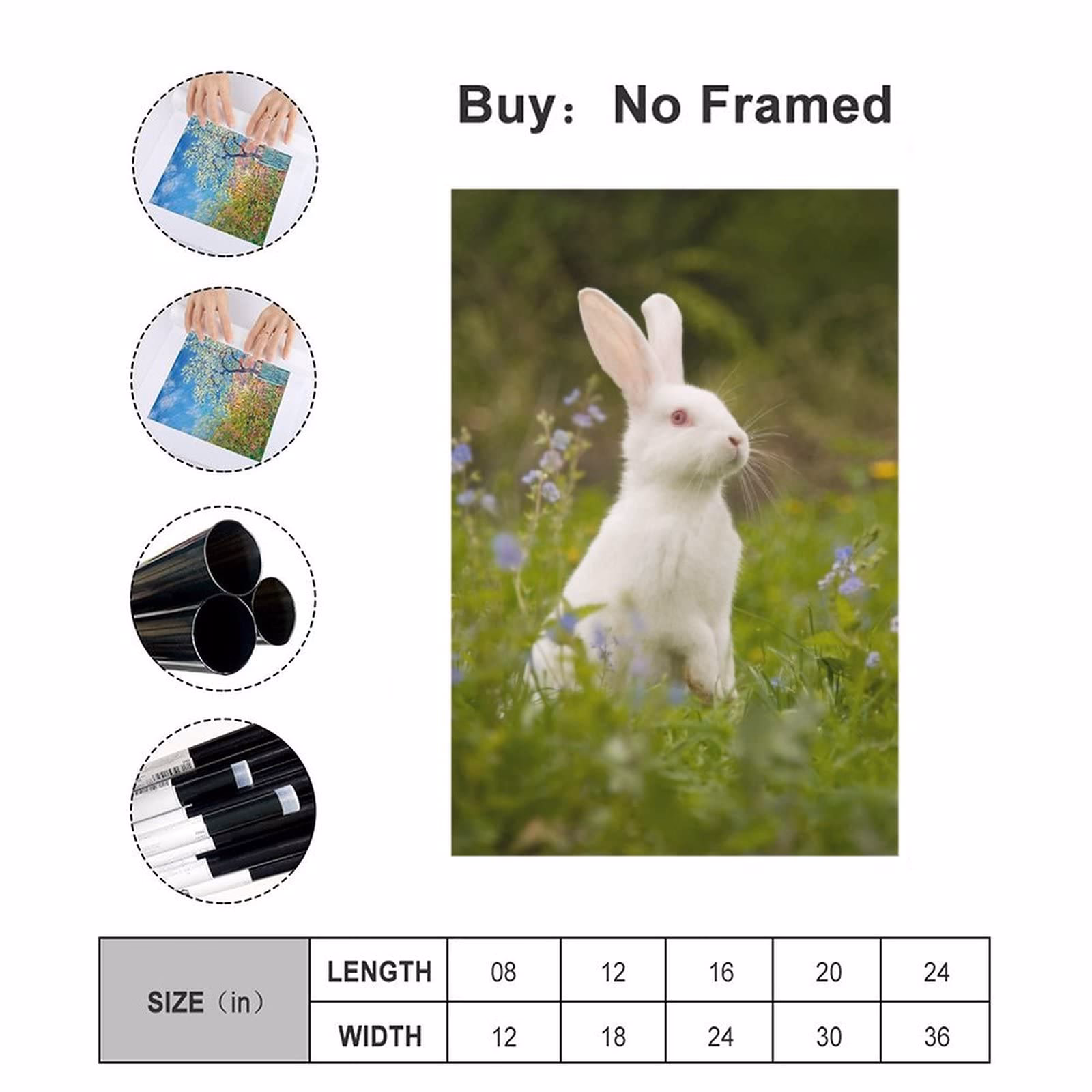 ¿Qué es el síndrome del Conejo Blanco?