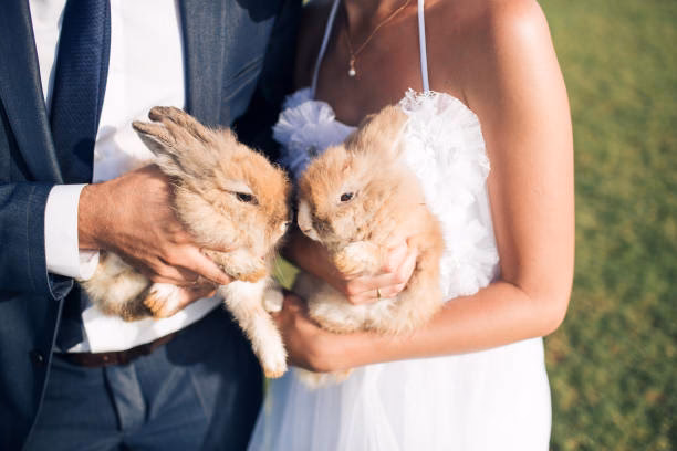 ¿Cuando se prohibió la boda de los Conejos?