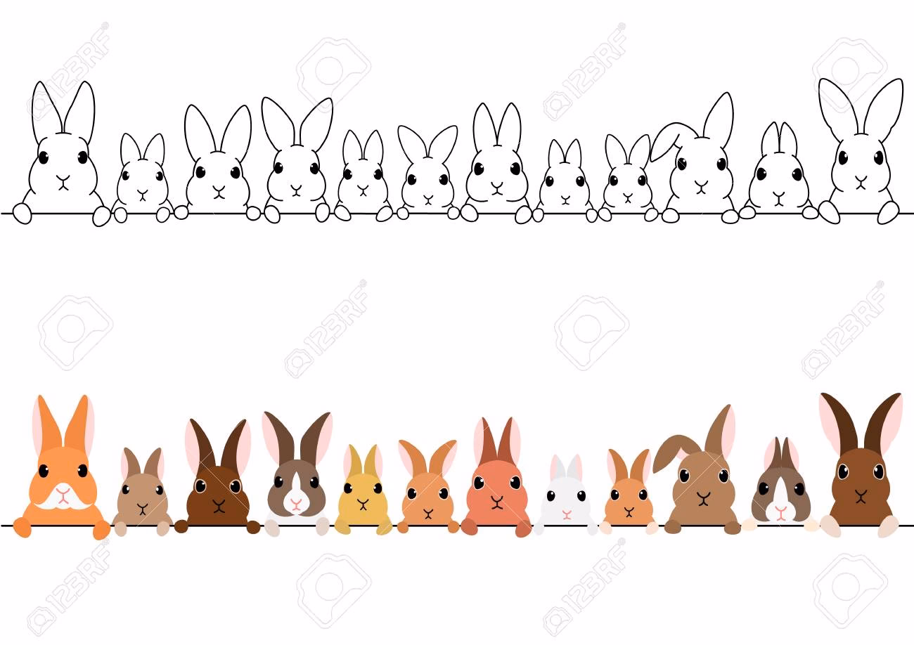 ¿Cómo se etiqueta un conejo?