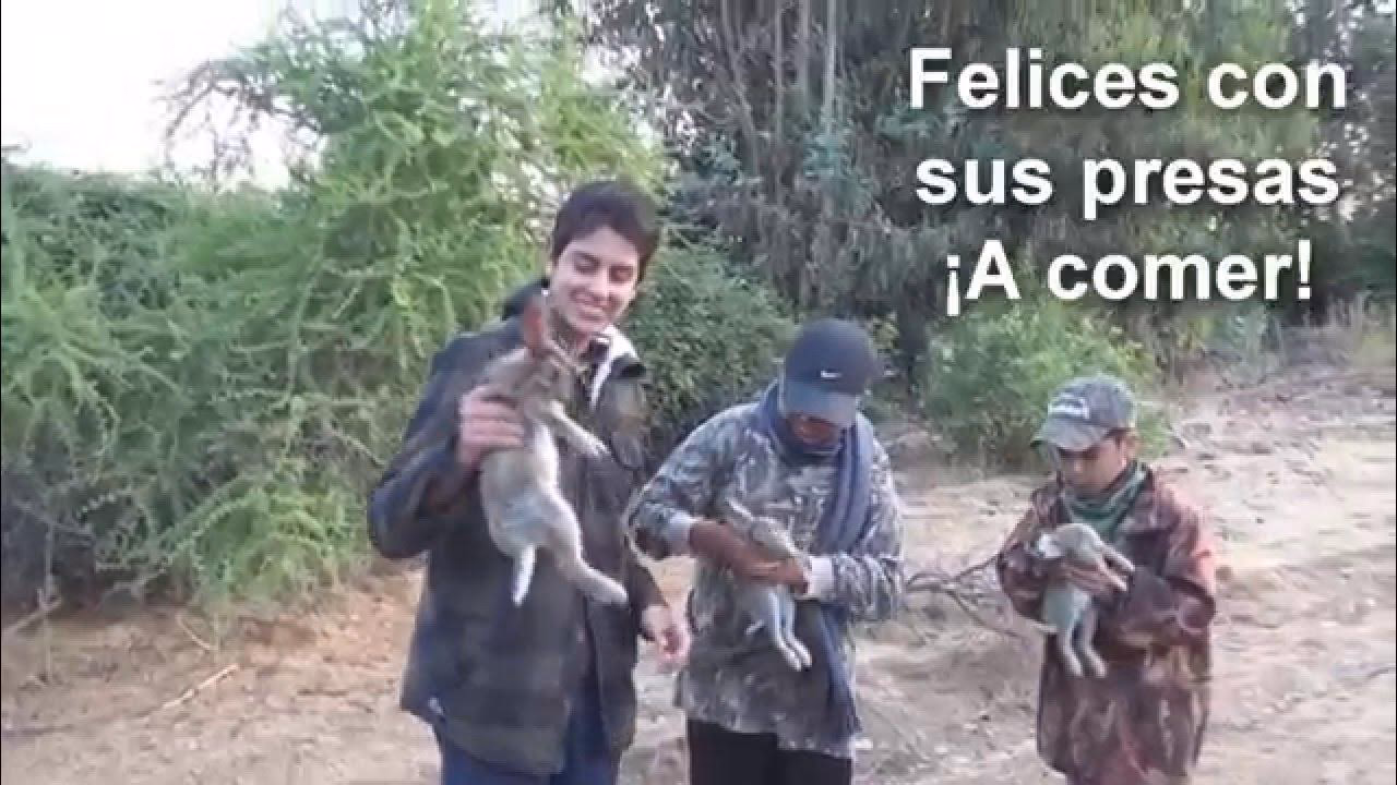 ¿Qué animales se pueden cazar con un rifle de diábolos?