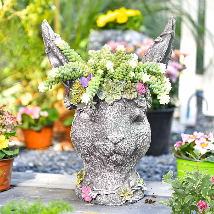 ¿Cuáles son los beneficios del cactus orejas de conejo?