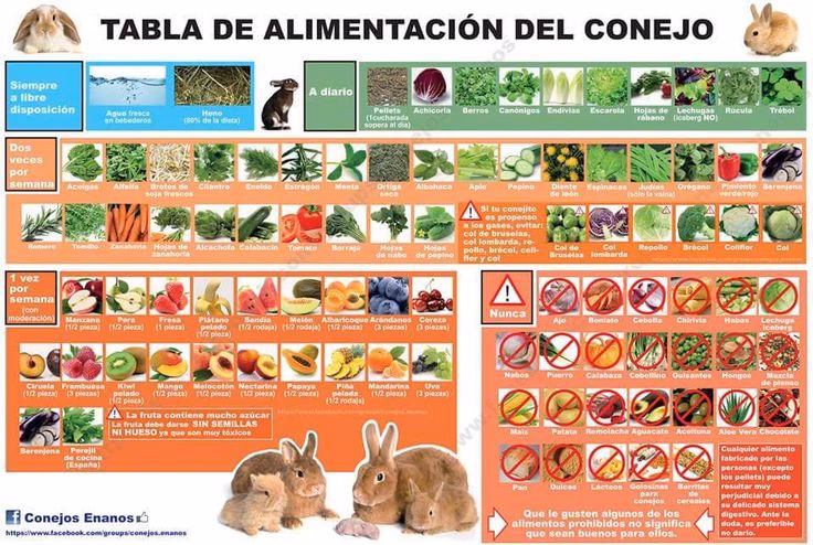 ¿Cómo calcular la energía metabolizable de un alimento?