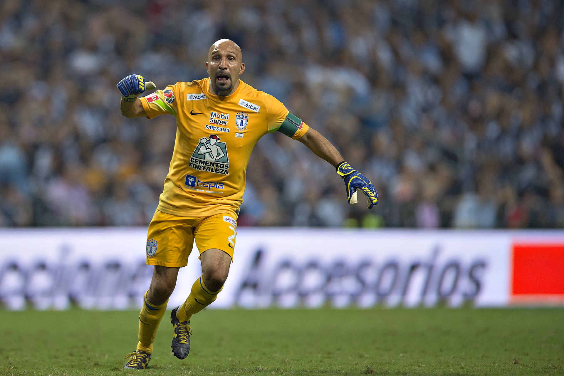 ¿Qué mundial jugó el conejo Pérez?