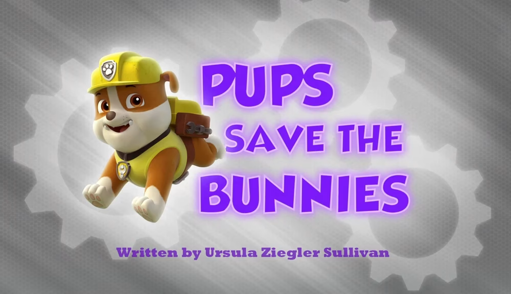 ¿Qué significado tienen los Paw Patrol?