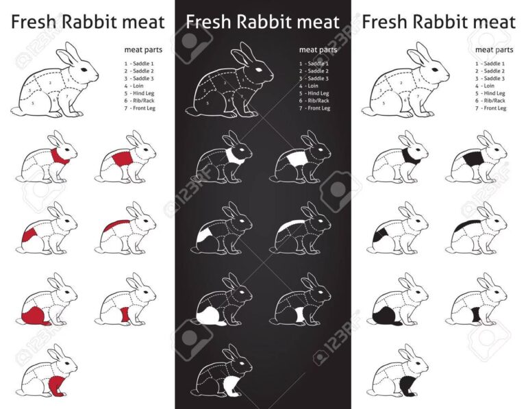 ¿Es la carne de conejo considerada carne roja? | Mundo Conejo