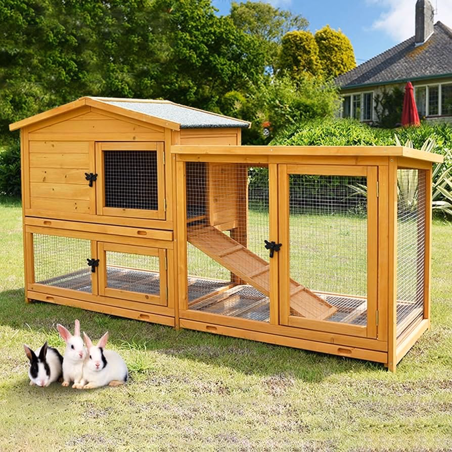 ¿Qué animales se usan para la caza de conejos o como mascotas?