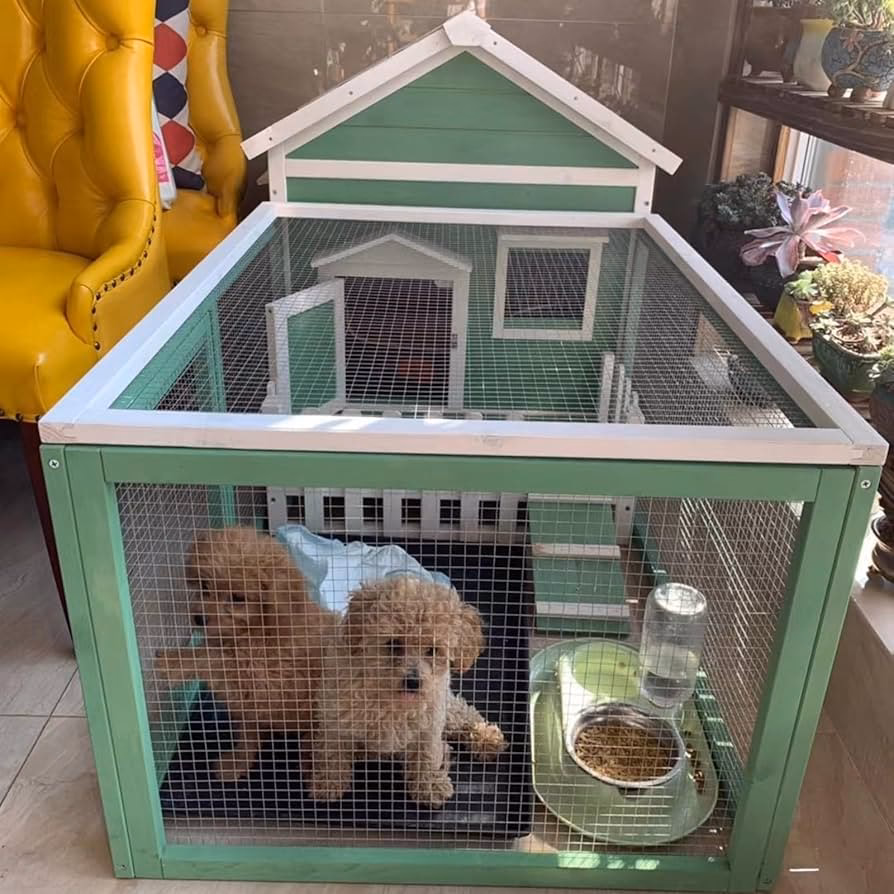 ¿Qué animales se usan para la caza de conejos o como mascotas?