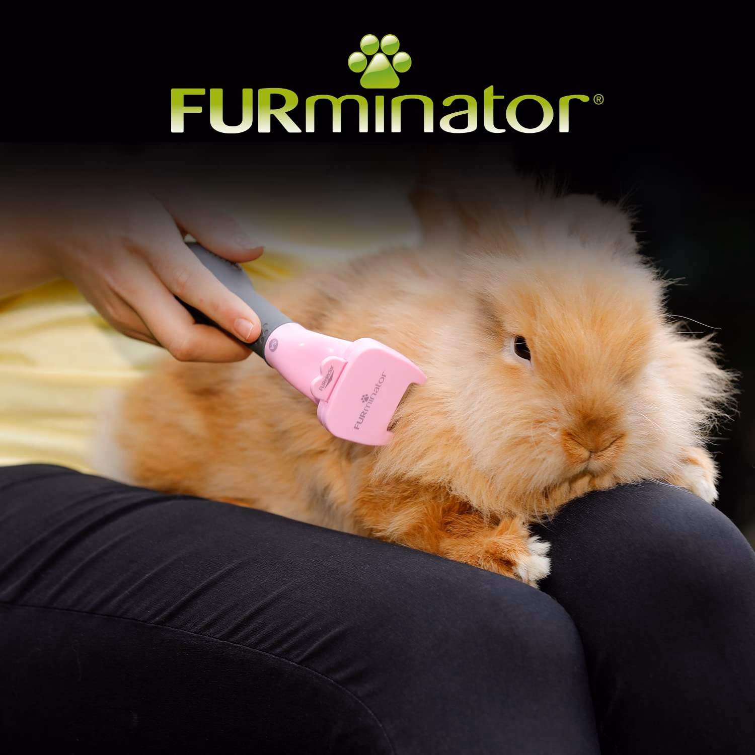¿Qué razas no deben utilizar un furminator?