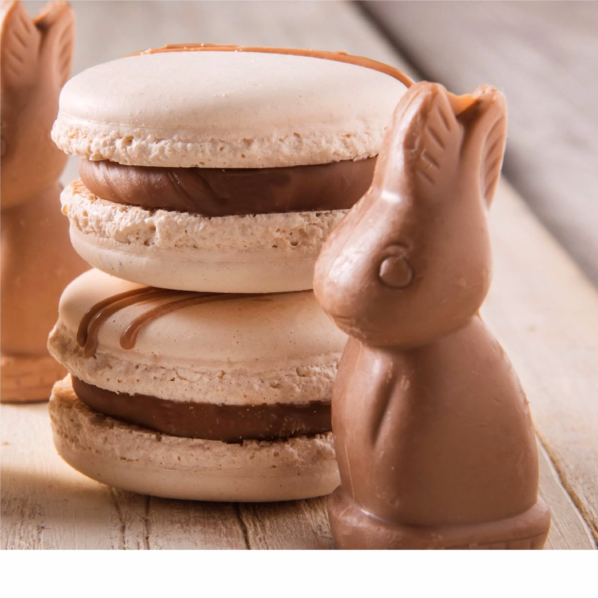 ¿En qué país se elaboró ​​el chocolate de conejo blanco?