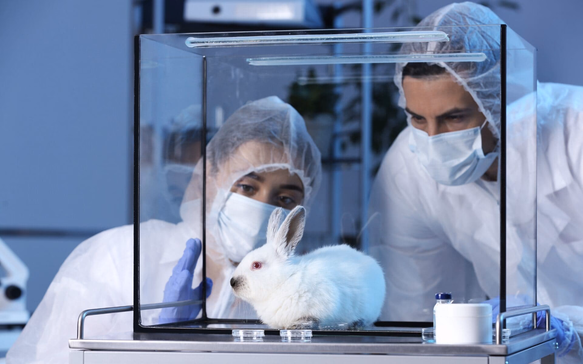 ¿Quién inventó el testeo en animales?