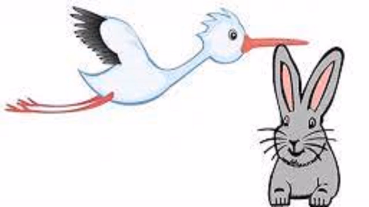 ¿Qué enseñanza deja el cuento La cigüeña María?