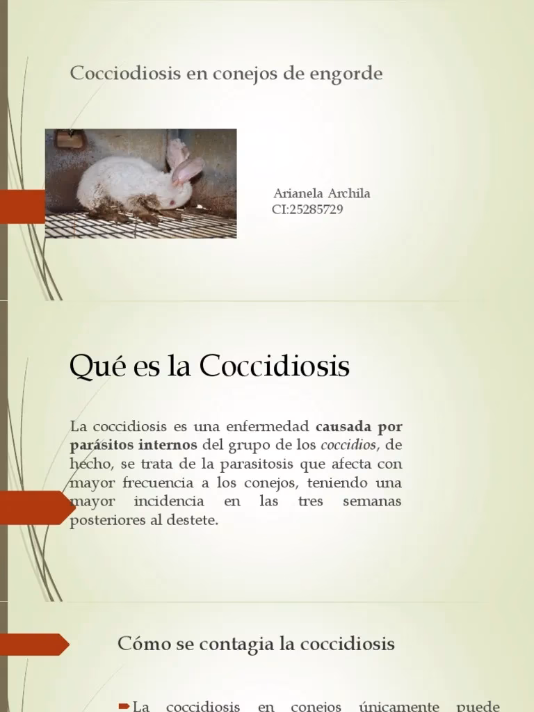 ¿Cómo podemos prevenir la enfermedad clamidiasis?