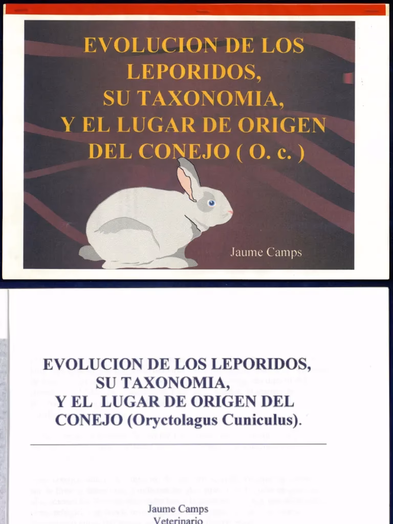 ¿Cómo se clasifican los animales según Aristóteles?