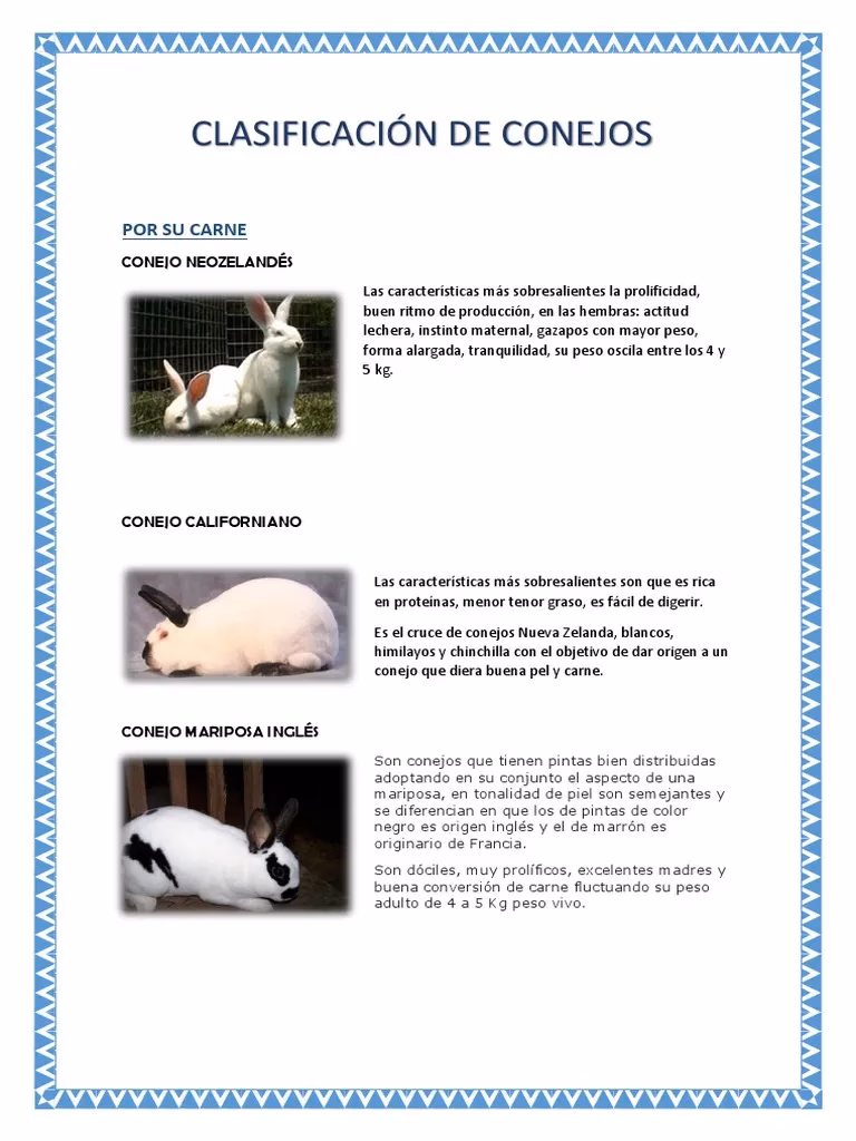 ¿Cómo se clasifican los animales según Aristóteles?
