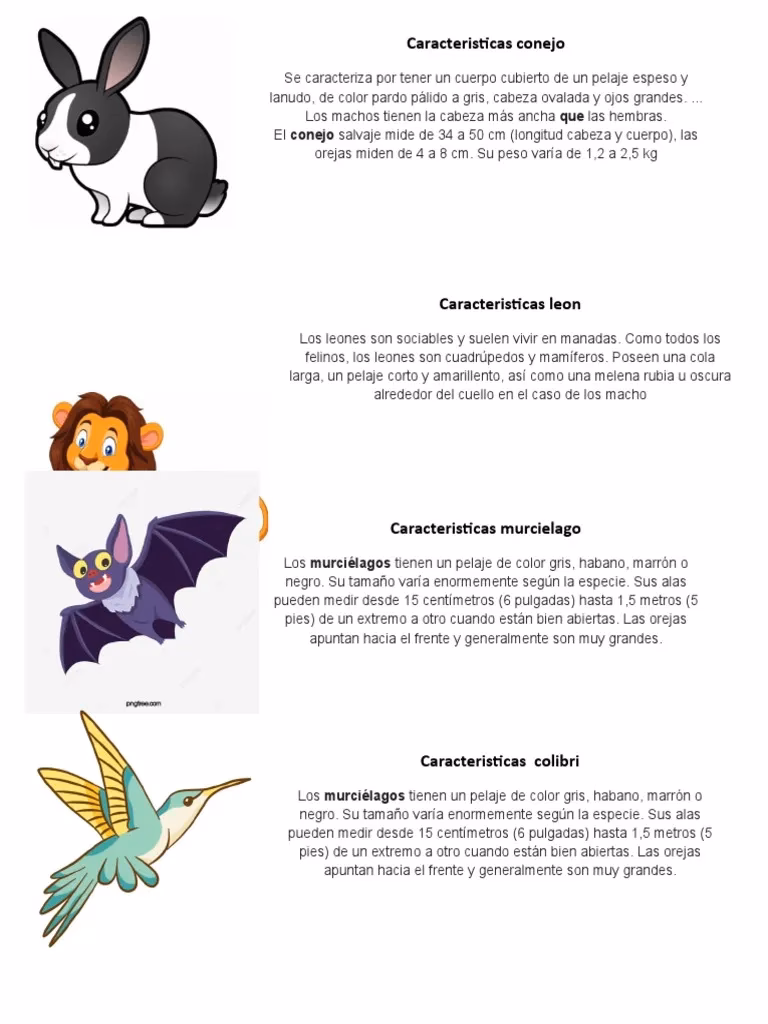 ¿Qué es la clave dicotómica y ejemplos?