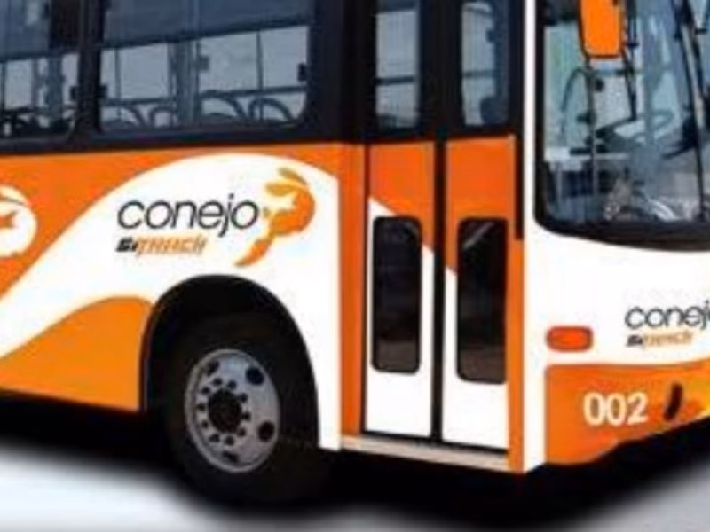 ¿Qué es el colectivo para conejos?